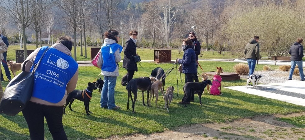 Stop ai bocconi avvelenati'', le associazioni animaliste lanciano l'allarme: Sono un pericolo anche per i bambini''